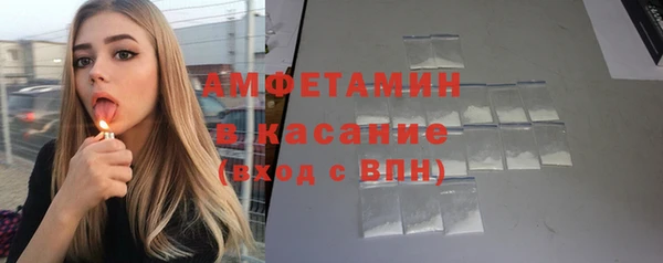 гашик Алексеевка