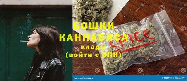 прущий лед Алзамай
