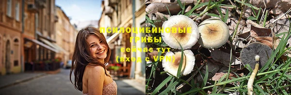 гашик Алексеевка