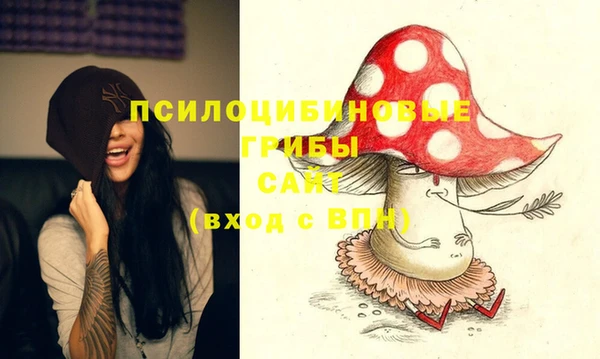 прущий лед Алзамай