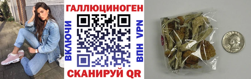 Псилоцибиновые грибы прущие грибы KRAKEN как зайти Межгорье