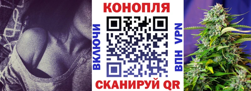 Каннабис Bruce Banner  закладка  площадка формула  Межгорье 
